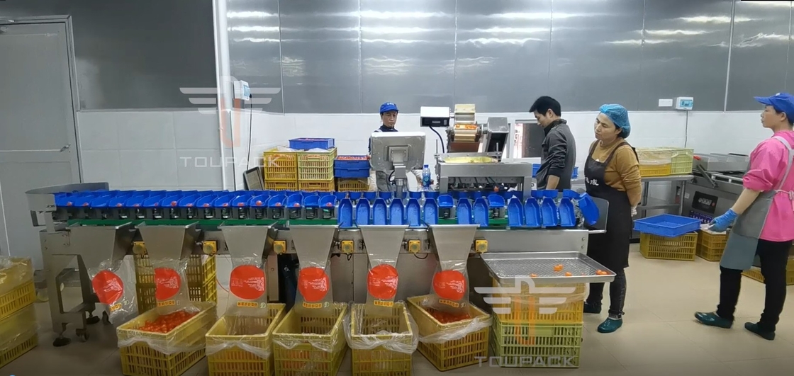 Il vaglio del multi peso circolare del grado del touch screen per il pesce del tuorlo fruttifica