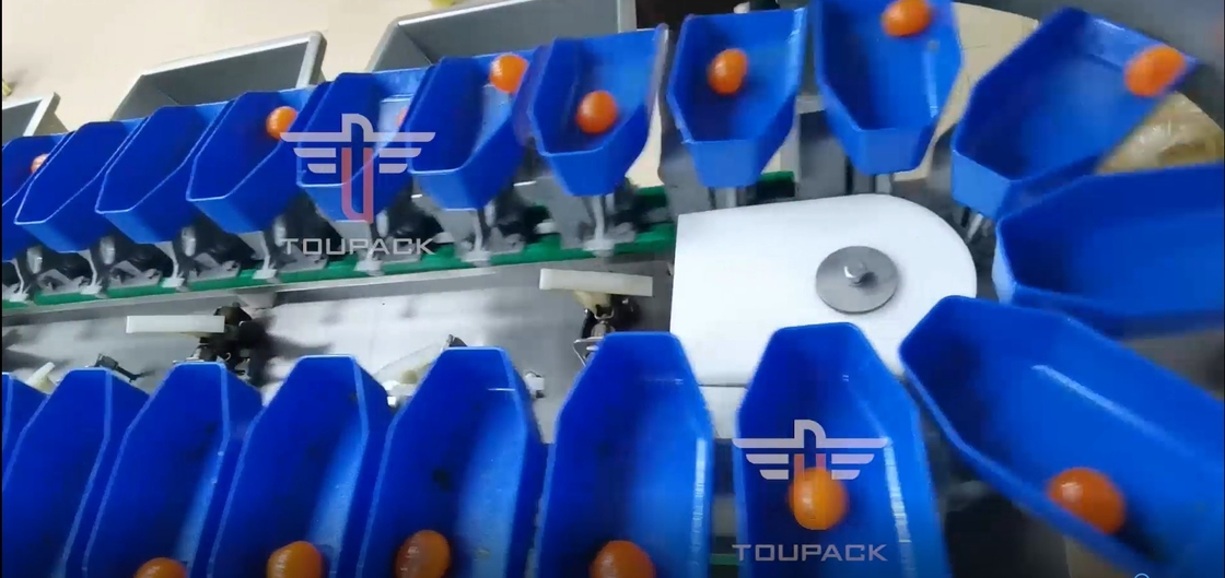 Il vaglio del multi peso circolare del grado del touch screen per il pesce del tuorlo fruttifica
