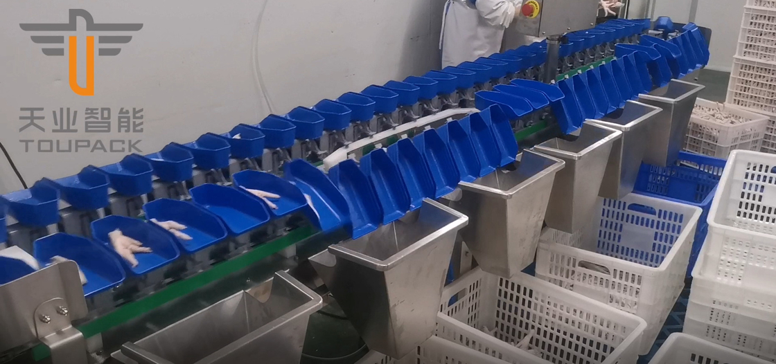 Il vaglio del multi peso circolare del grado del touch screen per il pesce del tuorlo fruttifica