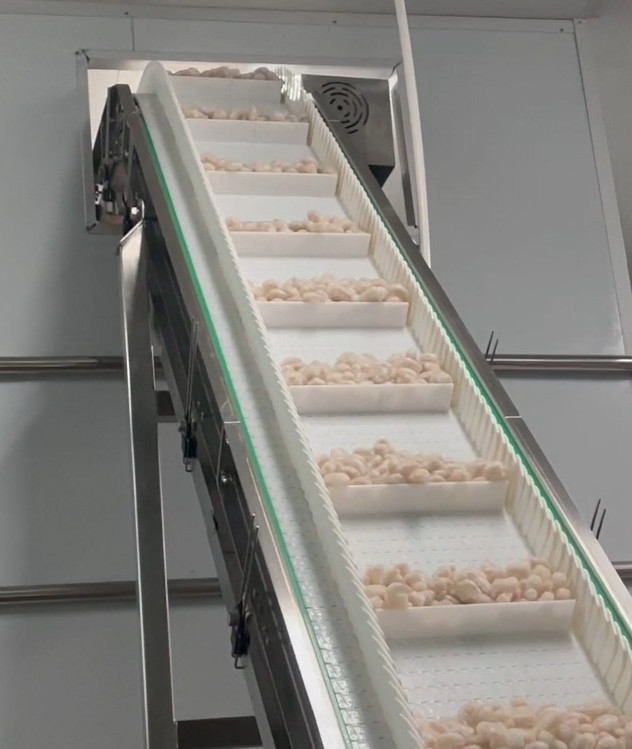 Peso d'imballaggio 200g~1500g dell'obiettivo del sistema del gruppo di lavoro ghiacciato del gamberetto della macchina imballatrice del pesatore degli ss 304