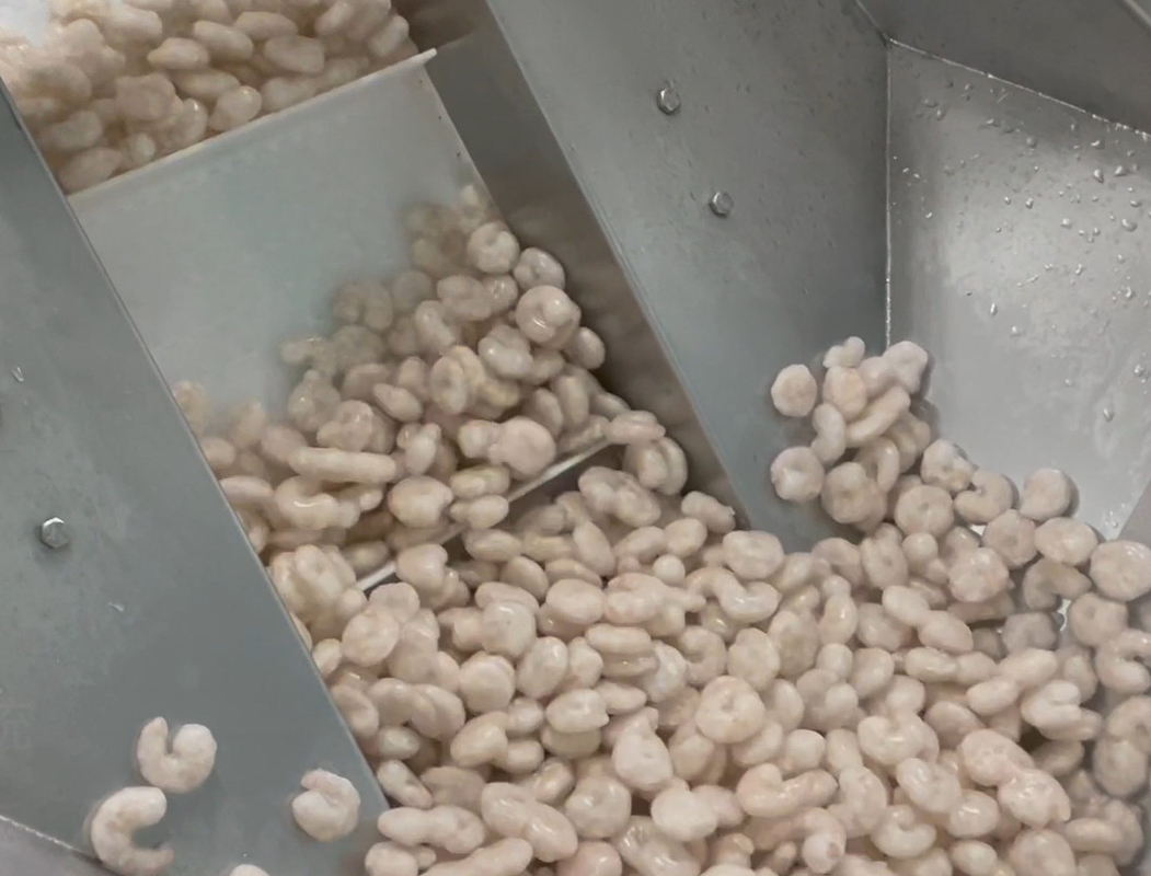 Peso d'imballaggio 200g~1500g dell'obiettivo del sistema del gruppo di lavoro ghiacciato del gamberetto della macchina imballatrice del pesatore degli ss 304