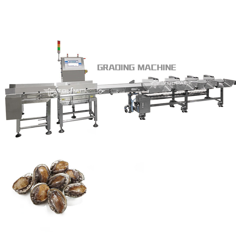 Il gamberetto automatico del pollo del nastro trasportatore del vaglio del peso dell'industria selezionatore del peso degli ortaggi da frutto