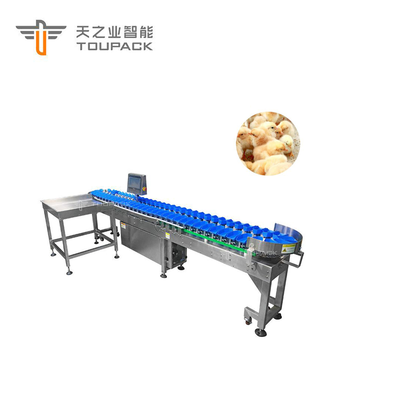Selezionatrice del pettine dell'aliotide del pollo del peso del vaglio delle date automatiche su ordinazione della frutta