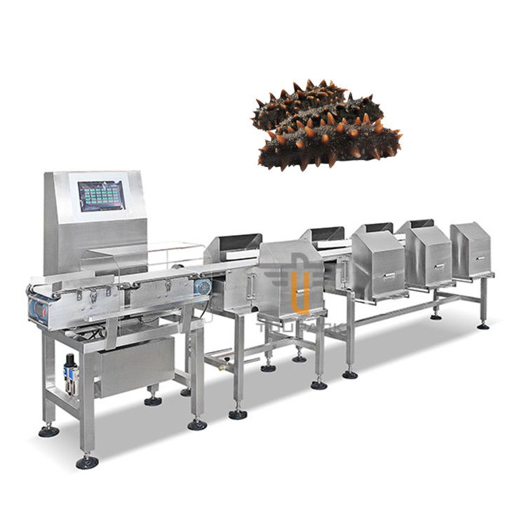 Macchina automatica del selezionatore del selezionatore del nastro trasportatore del vaglio del peso di Trepang del gamberetto del pesce