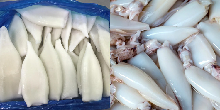 Cibo Frutta Calamaro tubo Vegetali Combinazione Pesante Con Convogliatore a cintura 12/14 Testa Pesante a cintura manuale