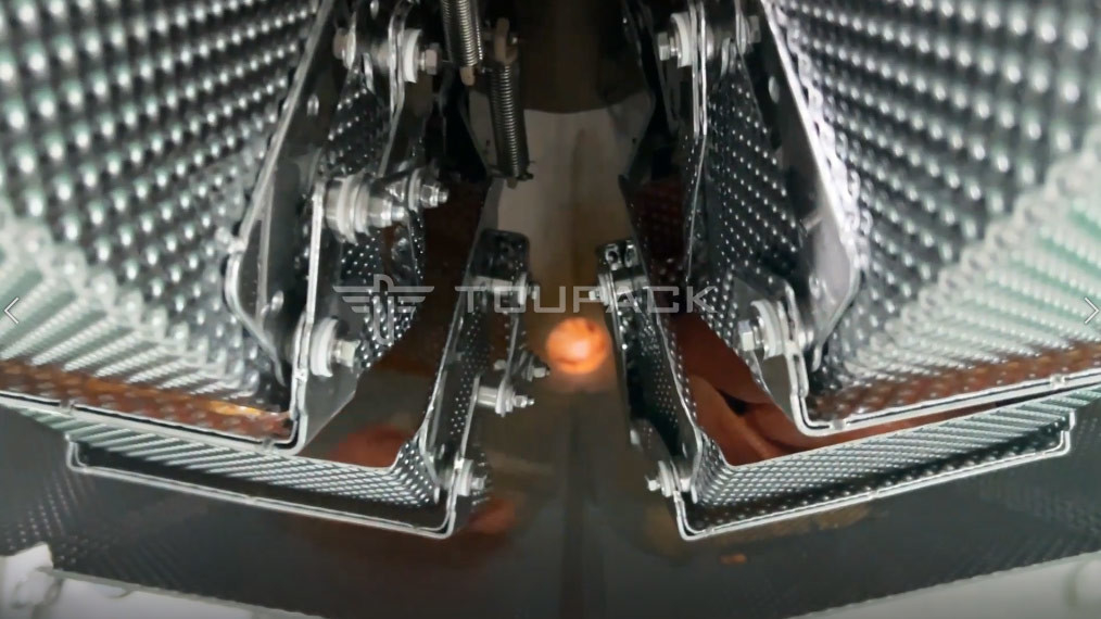 Combinazione di alimentatore a vite automatico Pesatrice di riempimento di alimenti appiccicosi Carne marinata Ali di pollo Pesatrice multi-testa
