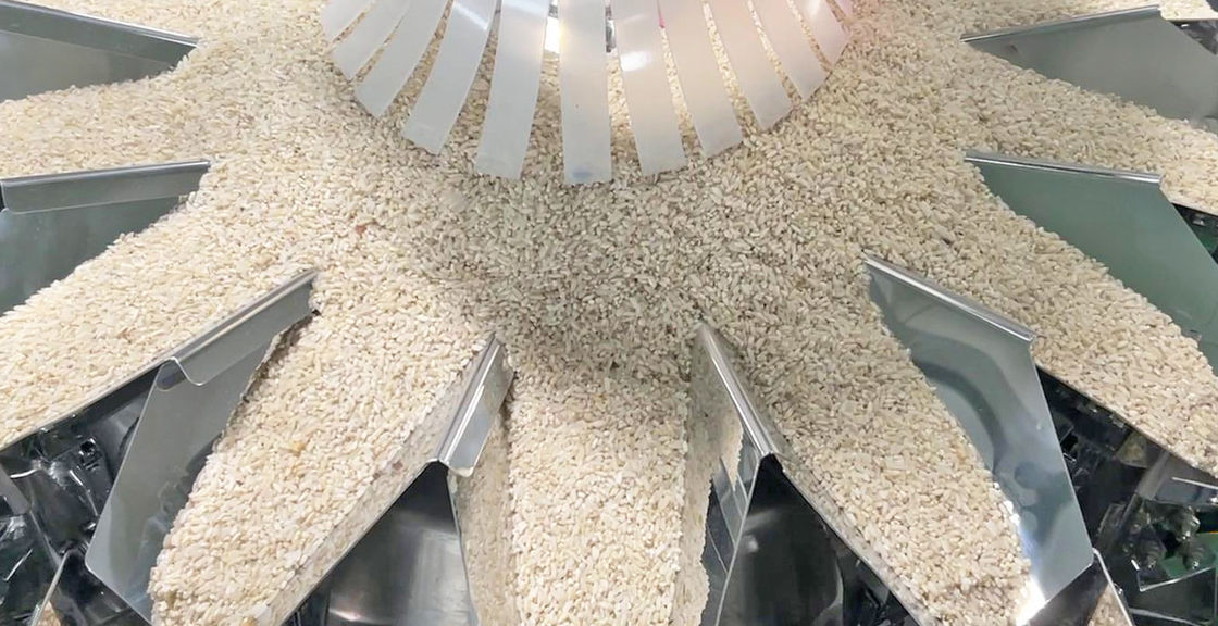 14 secchi Pesatrice multi-testa automatica 1kg 2kg 5L Cereali Alimenti Grano Rice Bag Packing Machine