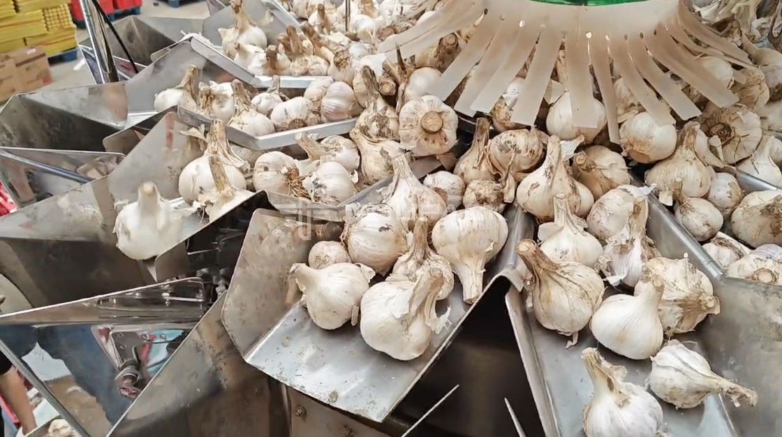OEM Automatica Pesatrice Borsa Fagioli Germoglio Cilantro Patata Aglio Bambino Mozzarella confezionatore