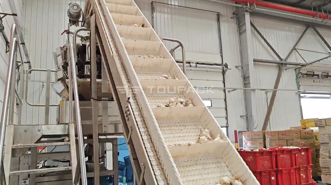 OEM Automatica Pesatrice Borsa Fagioli Germoglio Cilantro Patata Aglio Bambino Mozzarella confezionatore