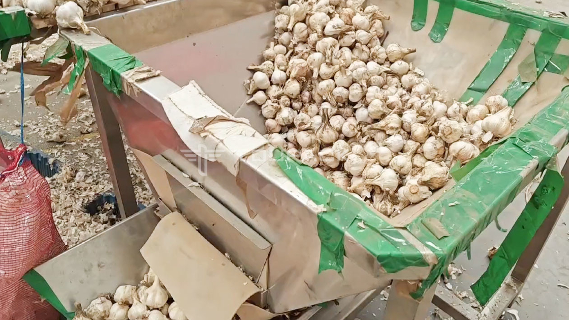 OEM Automatica Pesatrice Borsa Fagioli Germoglio Cilantro Patata Aglio Bambino Mozzarella confezionatore