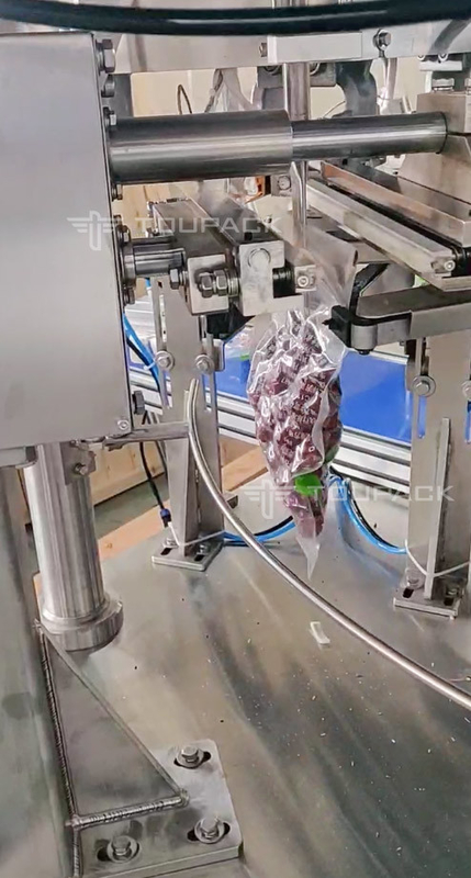 Macchina automatica di riempimento e sigillamento di sacchetti rotativi per Doypack Prefabricato Stand Up Pouch Red Jujube