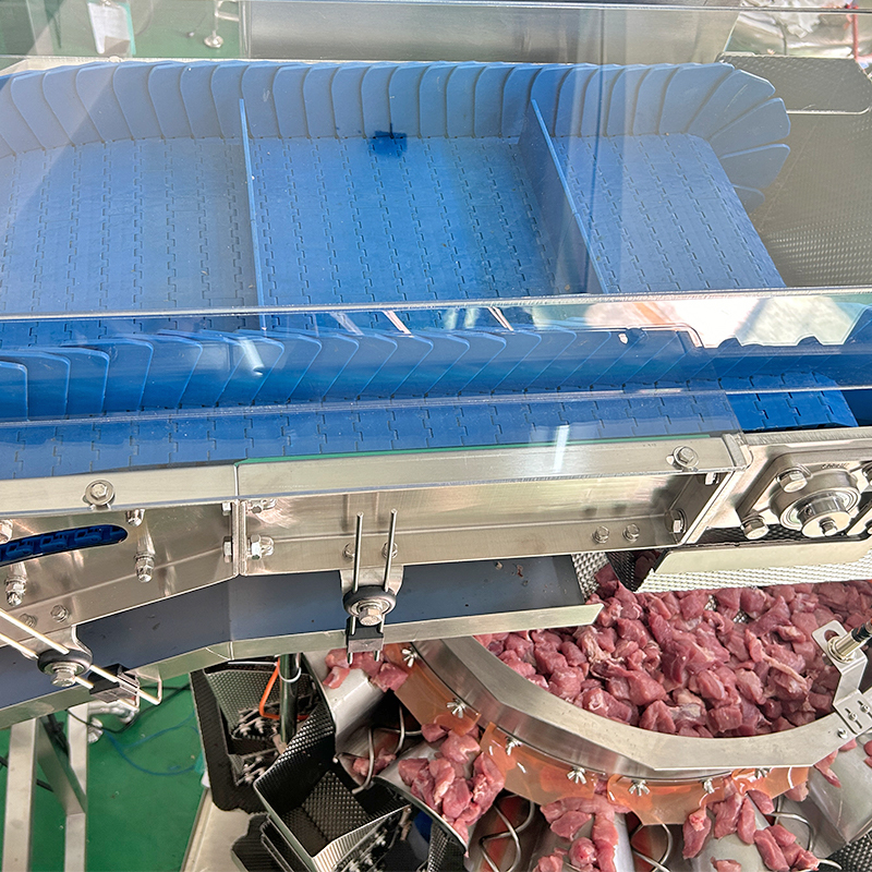 Elevatore verticale per alimenti ad alta capacità, tipo Z, con trasportatori a tazze per zucchero/cereali