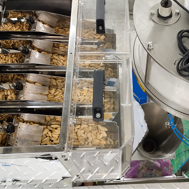 Automatica 200g 300g 500g Verticale forma di riempimento e sigillo macchine di imballaggio polvere di riempimento della macchina Doypack sacca Whey proteine polvere di imballaggio macchina