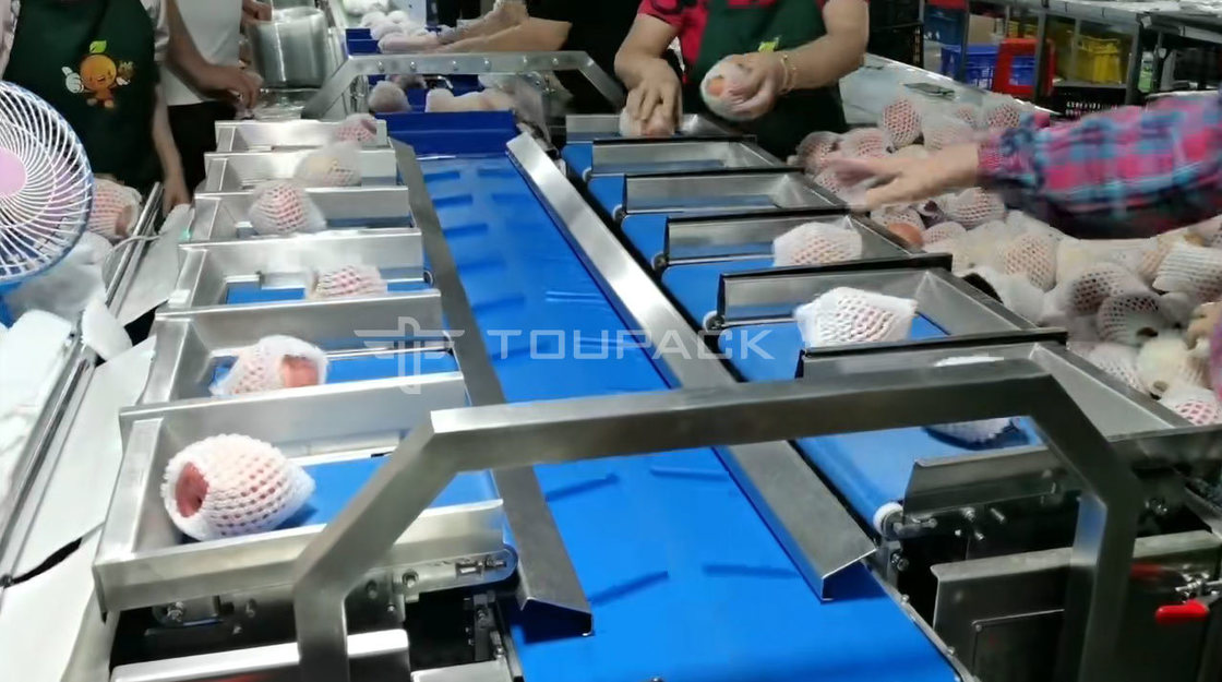 Macchina confezionatrice per rotoli di cuscini, scala combinata per peso di pere e mele, pesatrice combinata per frutta, macchina confezionatrice ad alta precisione