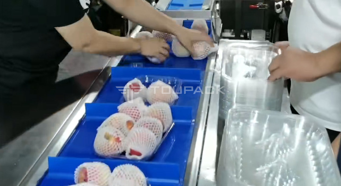 Macchina confezionatrice per rotoli di cuscini, scala combinata per peso di pere e mele, pesatrice combinata per frutta, macchina confezionatrice ad alta precisione