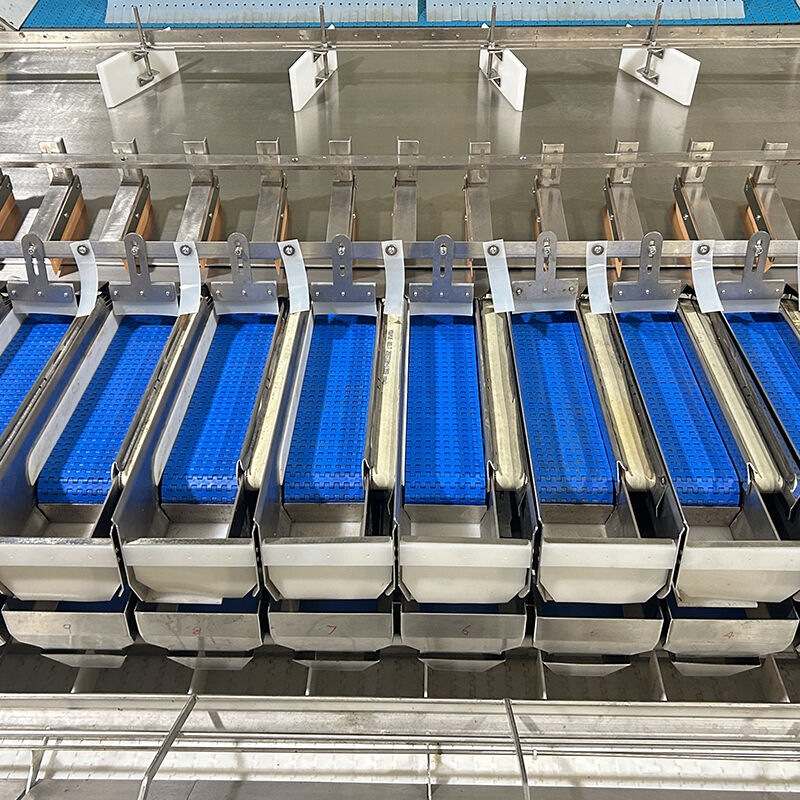 Auto Blueberry Frozen Vege Salad Vegetable Packing Machine Cherry Tomatoes Vegetable Weighing And Packing Machine