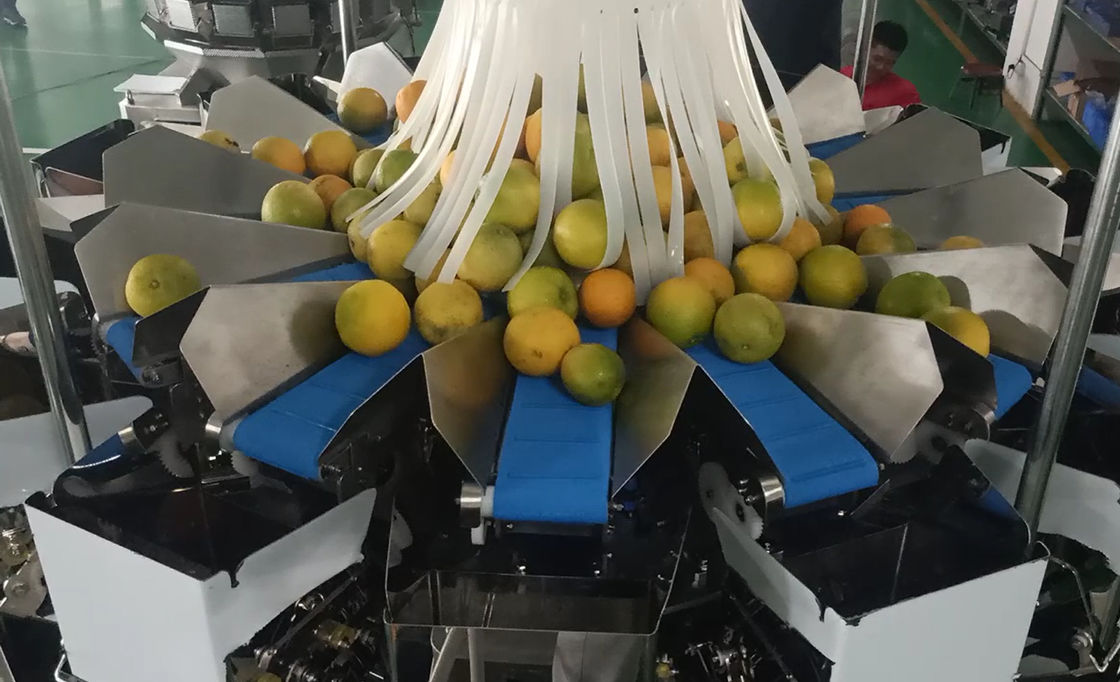 14 la macchina imballatrice del pesatore capo di Multihead MCU/PLC per Weiging fruttifica arance