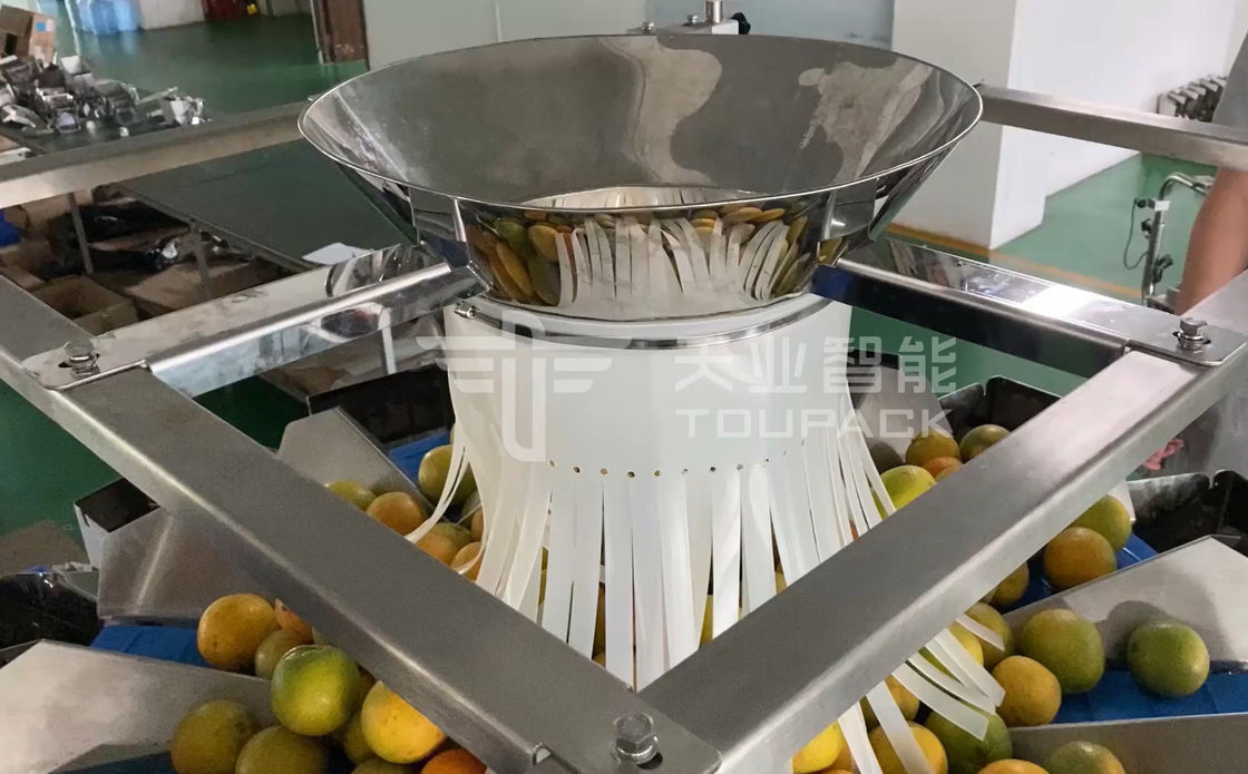 14 la macchina imballatrice del pesatore capo di Multihead MCU/PLC per Weiging fruttifica arance