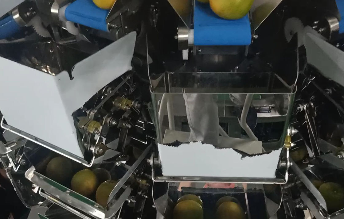 14 la macchina imballatrice del pesatore capo di Multihead MCU/PLC per Weiging fruttifica arance