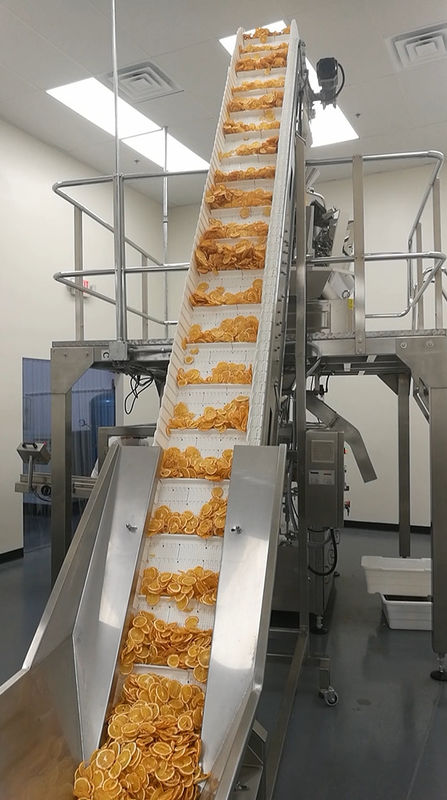 Pesatore rotatorio di Multihead della macchina imballatrice dello SpA min/di 40 borse per il sacchetto di Lemond Premade della frutta secca