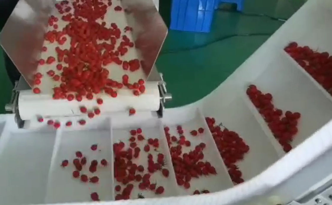 Sistema d'imballaggio di pesatura del pesatore di SUS304 Multihead ed automatico per Cherry Frozen Fruits In Boxes