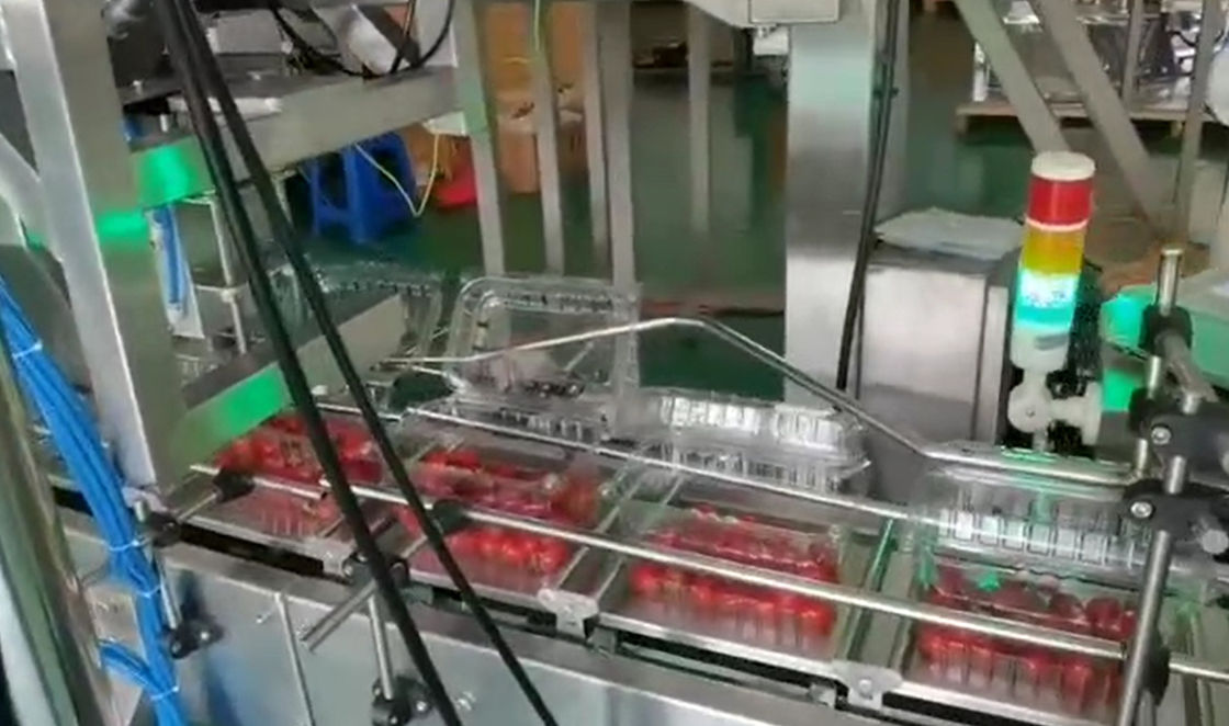 Sistema d'imballaggio di pesatura del pesatore di SUS304 Multihead ed automatico per Cherry Frozen Fruits In Boxes