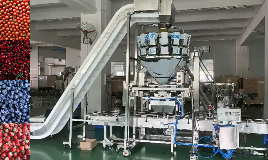 Sistema d'imballaggio di pesatura del pesatore di SUS304 Multihead ed automatico per Cherry Frozen Fruits In Boxes