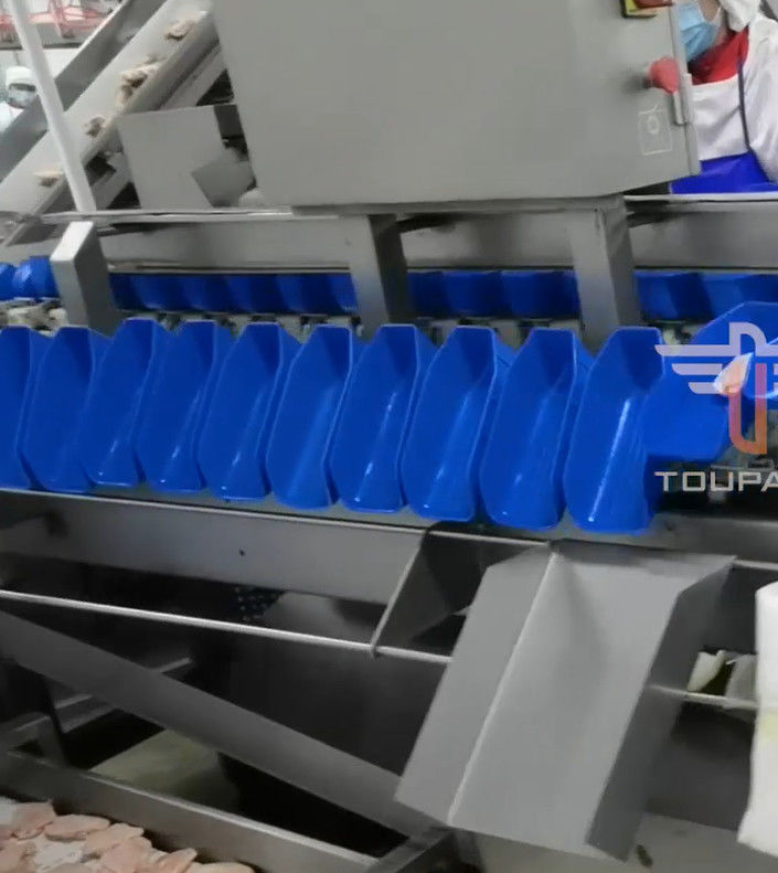 Vaglio del multi peso capo circolare di sicurezza per i frutti di mare 300 volte/min