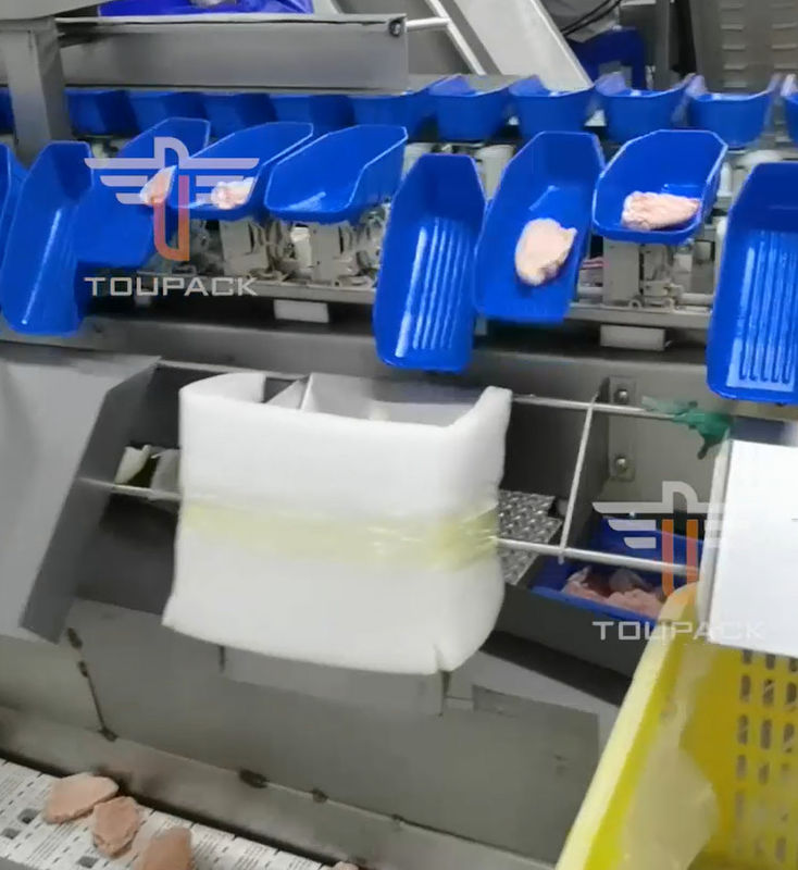 Vaglio del multi peso capo circolare di sicurezza per i frutti di mare 300 volte/min