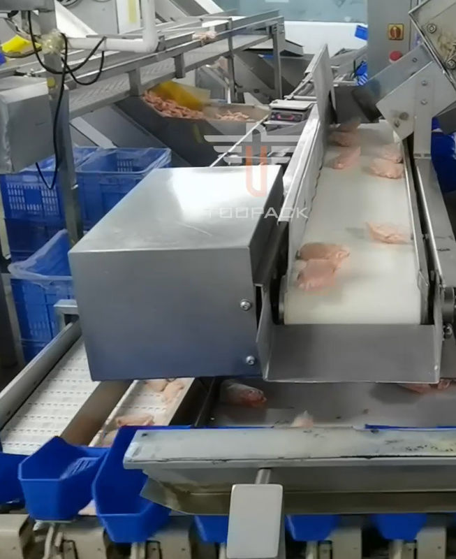 Vaglio del multi peso capo circolare di sicurezza per i frutti di mare 300 volte/min