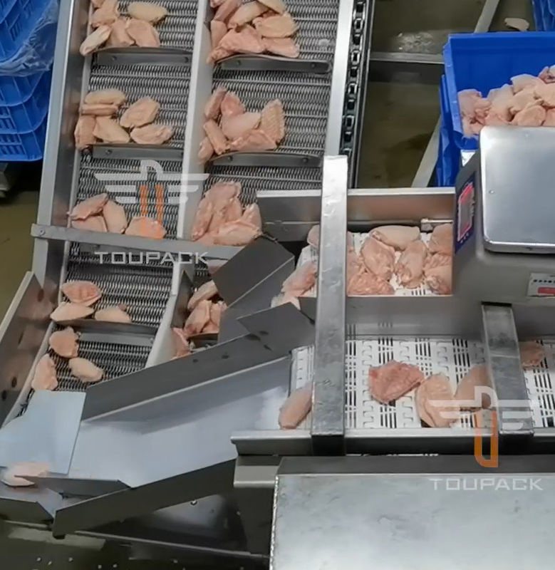 Vaglio del multi peso capo circolare di sicurezza per i frutti di mare 300 volte/min