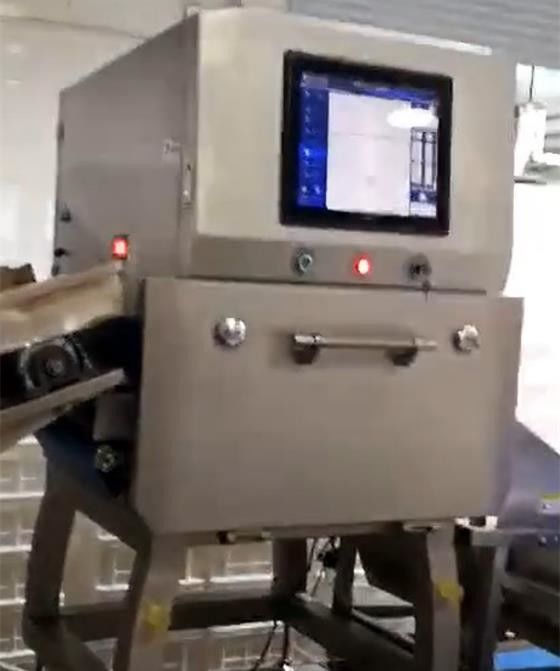 1 rivelatore di Microsievert/H X Ray Food Inspection Systems SUS304 per Chips Nuts
