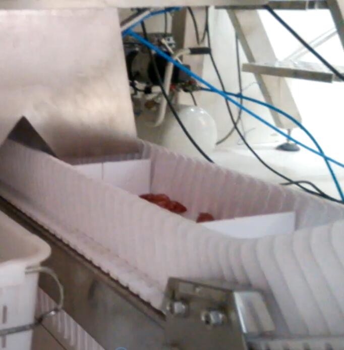 macchina imballatrice del pesatore di Multihead del saltatore 5000g per lo zucchero di BPM di industria 60 della fabbrica dell'alimento