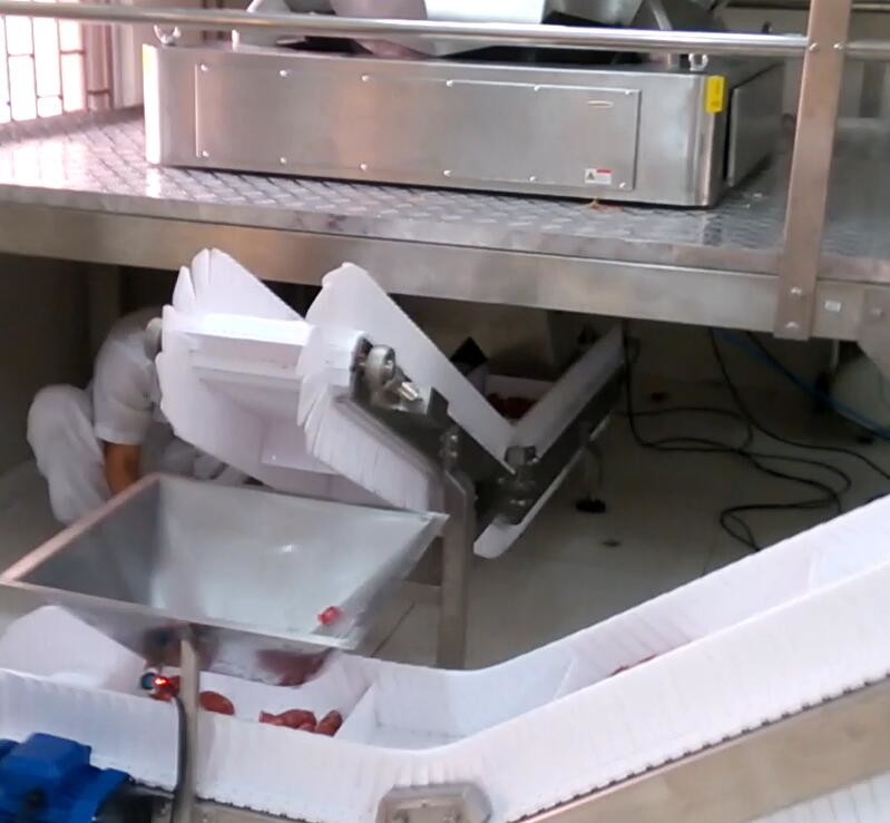 macchina imballatrice del pesatore di Multihead del saltatore 5000g per lo zucchero di BPM di industria 60 della fabbrica dell'alimento