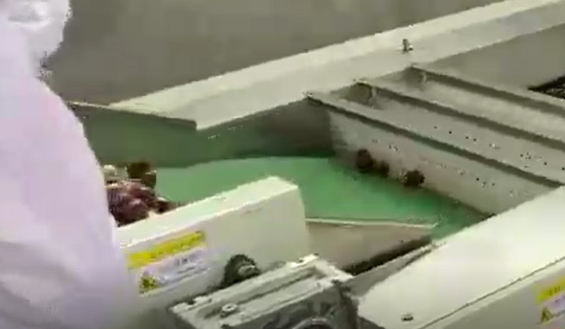 Vaglio delle giuggiole 220V di acciaio al carbonio che ordina la linea di produzione