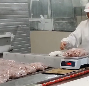 20 borse/Min Multihead Weigher Packing Machine per il prodotto ghiacciato dell'osso della carne