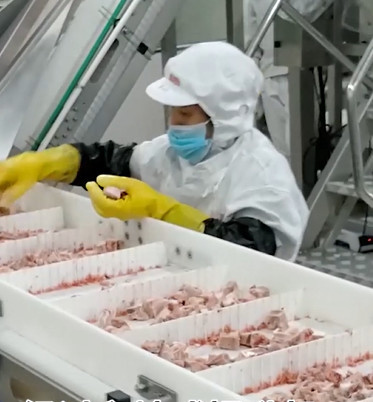 20 borse/Min Multihead Weigher Packing Machine per il prodotto ghiacciato dell'osso della carne