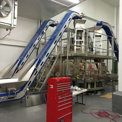 Macchina imballatrice del pesatore di iso 9001 1.5KW Multihead per la borsa di Doypack