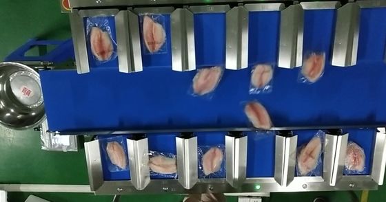Pesatore capo del nastro trasportatore del sistema del pesatore della cinghia 30WPM di TOUPACK 12 per i frutti di mare