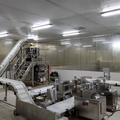Nastro trasportatore ISO9001 che ordina sistema