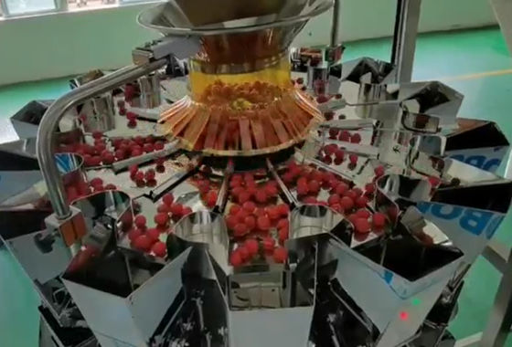 Sistema d'imballaggio di pesatura del pesatore di SUS304 Multihead ed automatico per Cherry Frozen Fruits In Boxes