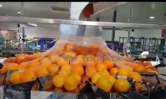 Impacchettatrice arancio automatica di verdura e della frutta con rete