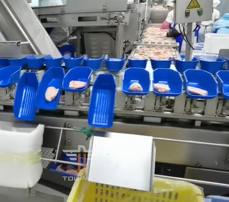 Vaglio del multi peso capo circolare di sicurezza per i frutti di mare 300 volte/min