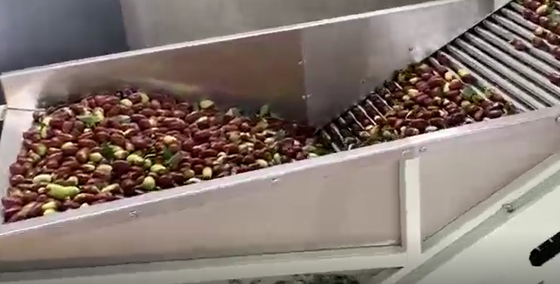 Vaglio delle giuggiole 220V di acciaio al carbonio che ordina la linea di produzione