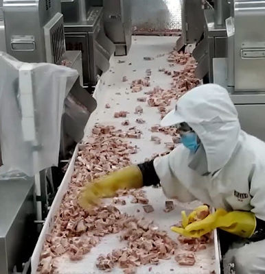 20 borse/Min Multihead Weigher Packing Machine per il prodotto ghiacciato dell'osso della carne