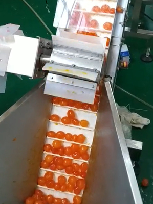 Tuorlo d'imballaggio sotto vuoto della macchina del multi pesatore che ordina e che trasporta progetto