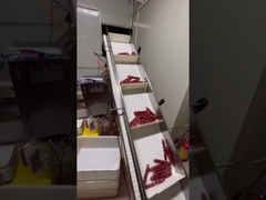 Sistema automatico di pesatura e trasporto per salsicce lunghe, hot dog