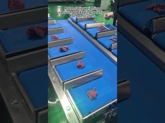 Macchina di imballaggio per pesatrici multi-testa