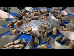 TOUPACK 14 testa Pesatrice multi-testa per pesare i pesci