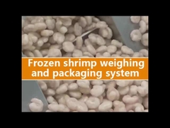 Macchina di imballaggio multi-testa per sacchetti per pesatrici